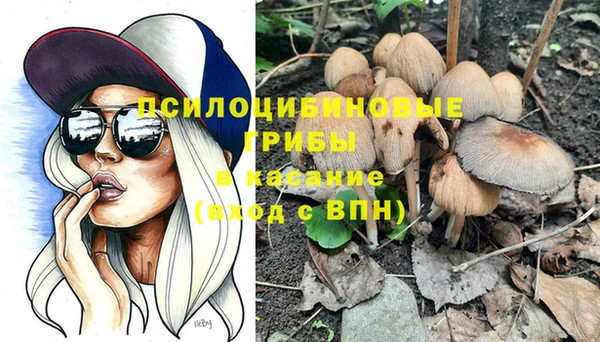 метамфетамин Богданович