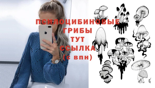 прущая мука Бородино