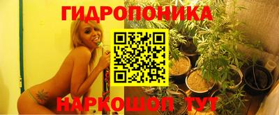 прущие грибы Ипатово