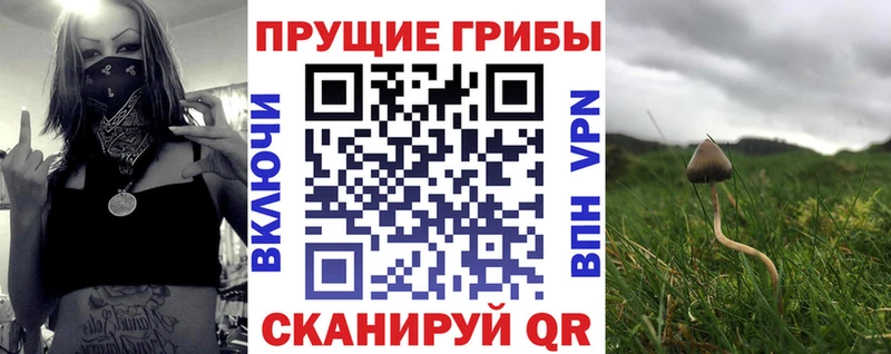 где купить наркотик  Славгород  Галлюциногенные грибы мицелий 