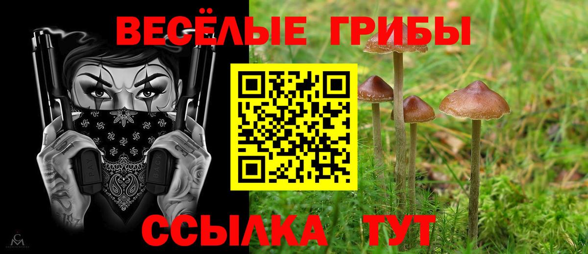 Псилоцибиновые грибы мухоморы  Псилоцибиновые грибы ЛСД  Славгород  Вход с VPN 